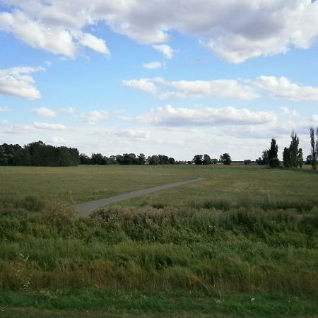 Alles Paletti mit Klimaanlage Lejlighed Wittenberg Eksteriør billede